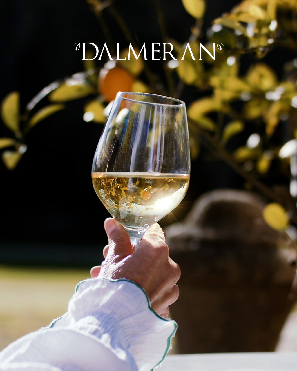 Verre et logo Dalméran